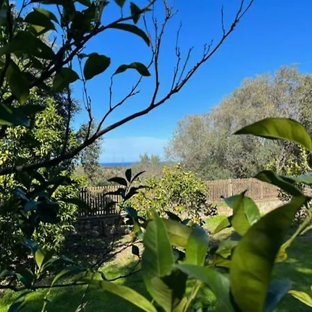 Villa Maison Jardin D'agrumes - Lozari *