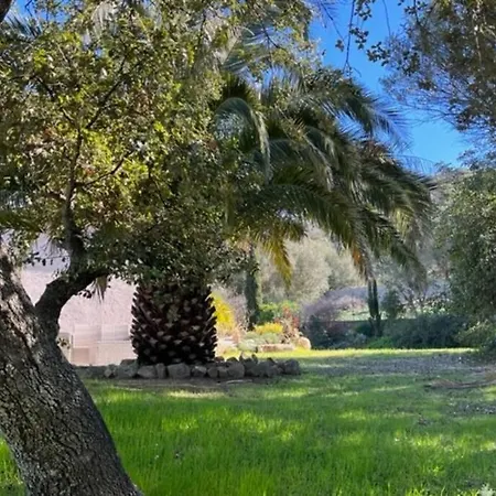 Maison Jardin D'agrumes - Lozari Villa