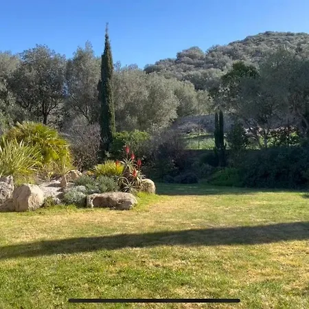 Maison Jardin D'agrumes - Lozari *