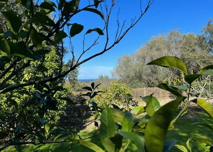 Villa Maison Jardin D'agrumes - Lozari *