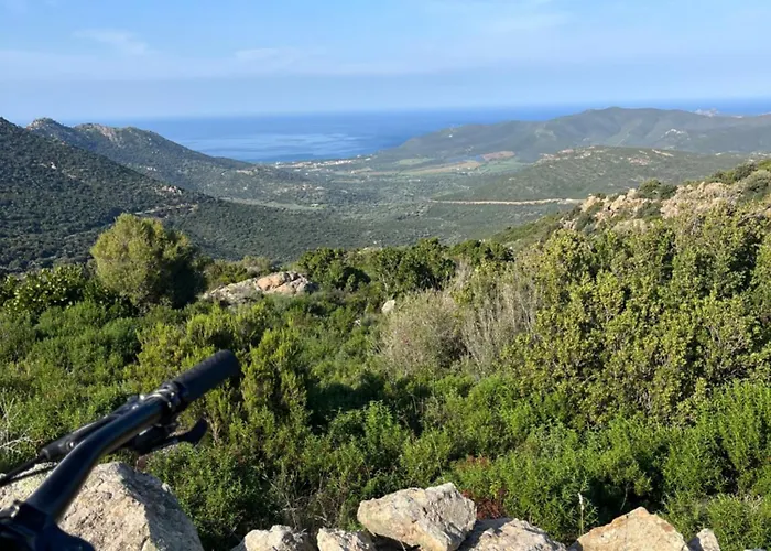 Maison Jardin D'agrumes - Lozari * Belgodère